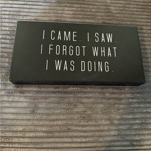 Wooden Wall Sign- “I came. I saw. I forgot what I was doing.”